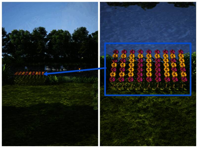河边的花的画面