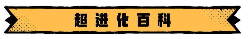 超进化大陆相关画面