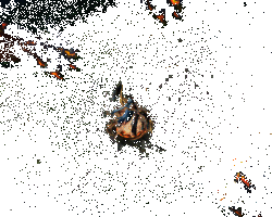 紧那罗切换音律额外弹奏乐符动画