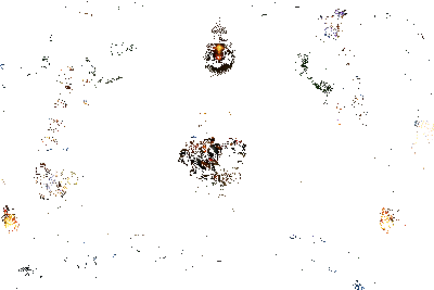 克格莫实战动图