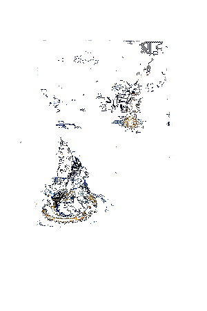 丑时之女皮肤·泣鸦萤石动态展示2