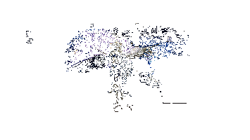 天逆每新皮肤·星夜羽动态展示