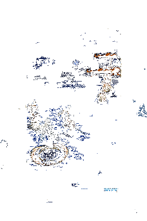 天逆每新皮肤·星夜羽动态展示3