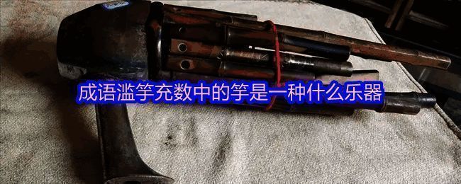 支付宝蚂蚁庄园相关图片