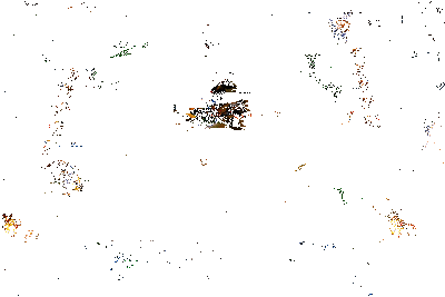 豹女实战效果动图