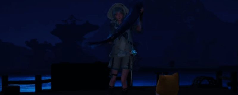 星空钓场相关图片