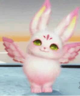 绒绒宝宝 - 栀栀宠物图