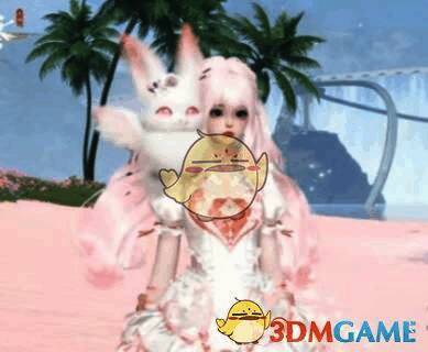 绒绒宝宝 - 安安萌宠物图