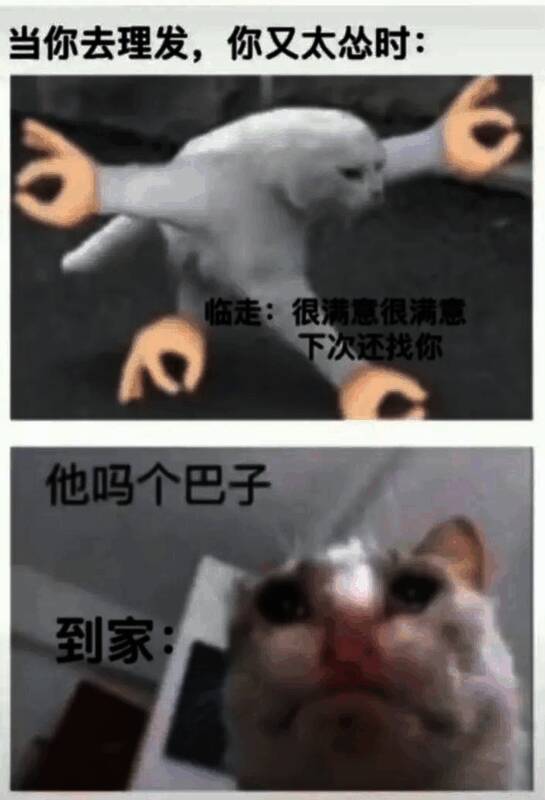 与那很有生活了梗相关的图片3