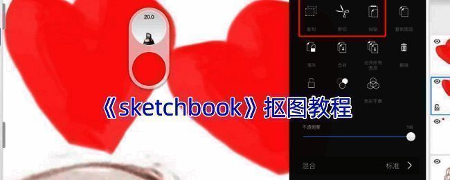 SketchBook抠图相关示例图