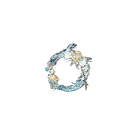 流光追月神全新联动皮肤·邀星戏月动态图