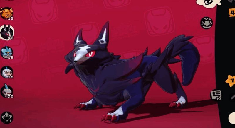 魔力猫相关图片