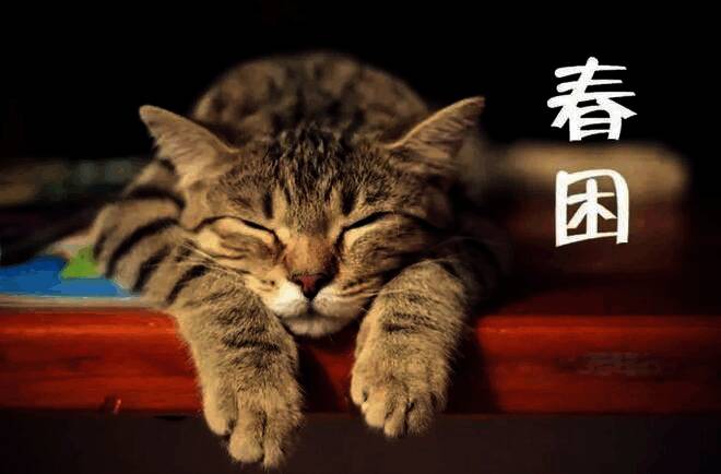 支付宝蚂蚁庄园相关图片2