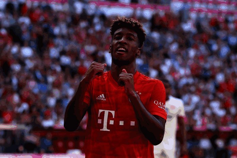 金斯利 - 科曼相关图片1