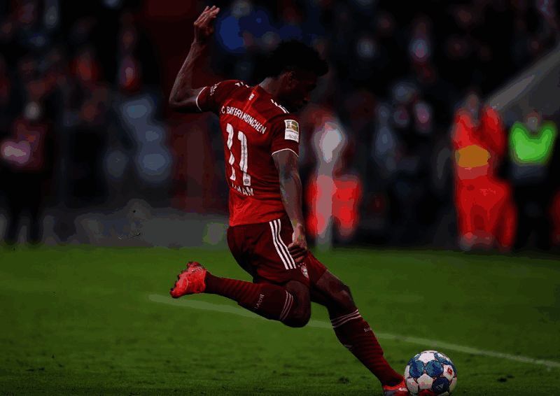 金斯利 - 科曼相关图片2