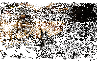 《怪物猎人：荒野》燕返技能展示