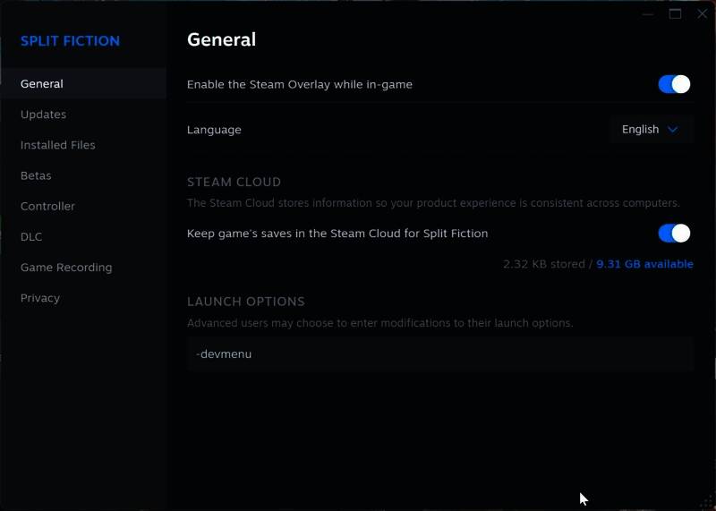 启动选项输入内容截图