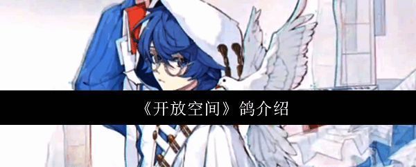 开放空间相关图片