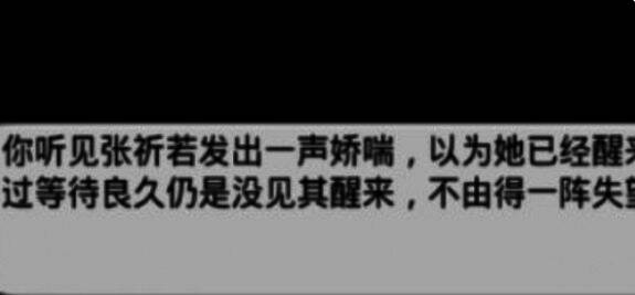 襄阳张祈若画面