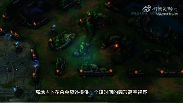 高地占卜花朵视野效果展示