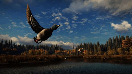 《猎人：荒野的召唤》游戏画面1