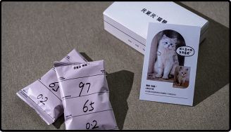 《飞吧龙骑士》赛事其他奖励图2