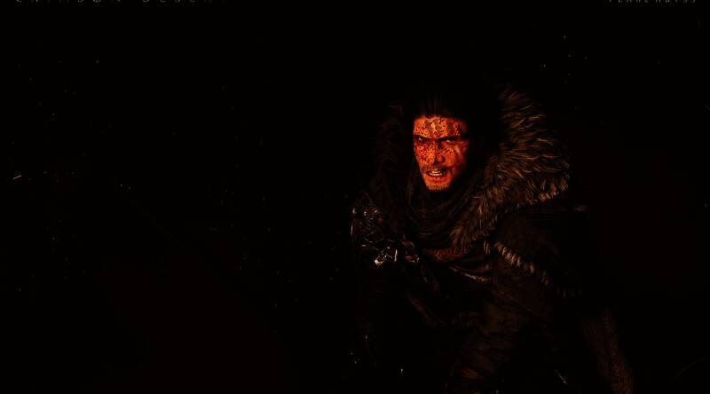 《红色沙漠》游戏画面