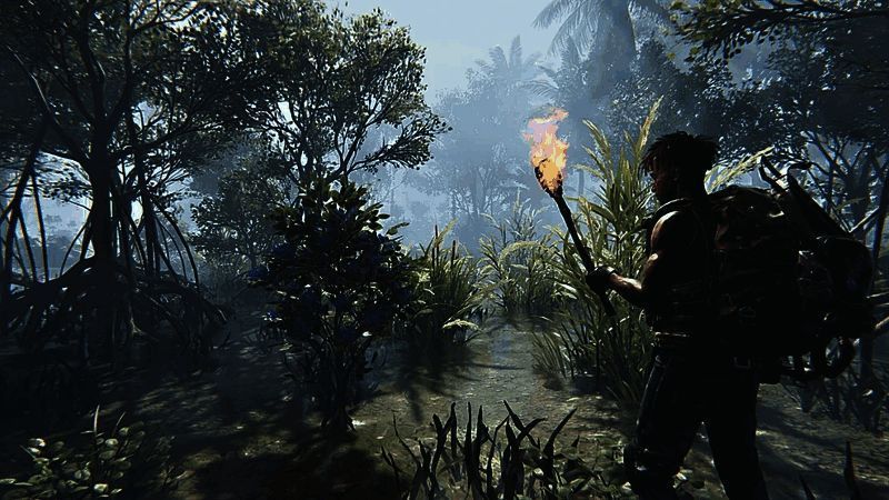 游戏中路边野果和池塘的场景