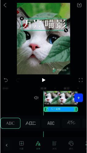 控制字幕显示时间界面图