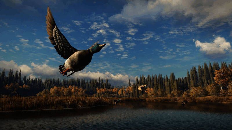 《猎人：荒野的召唤》相关宣传图