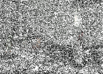 《重返未来：1999》阿莱夫「权力规训」技能动图