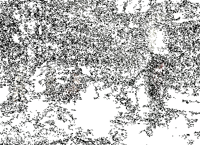 《重返未来：1999》阿莱夫「理想宣言」技能动图