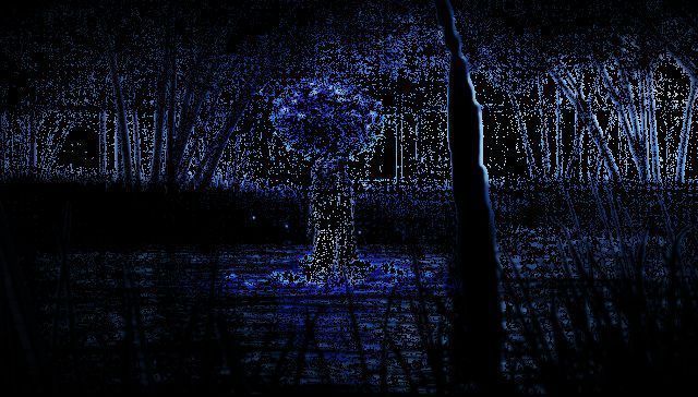 照影一瞬随身特效展示图