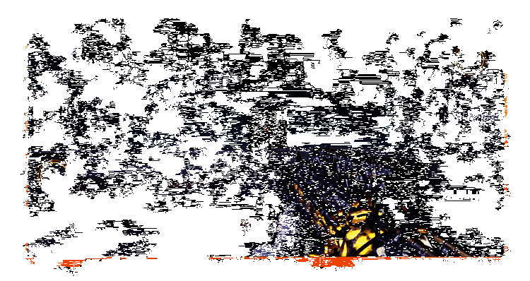 蚀金末夜相关动图11