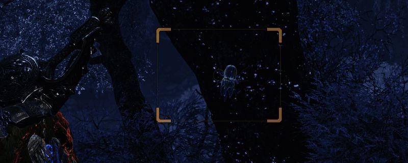 怪物猎人荒野游戏画面相关图片