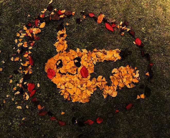 网友用落叶创作的宝可梦皮卡丘画作1