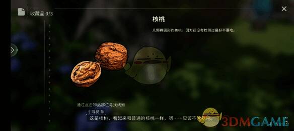 核桃收藏品位置特写