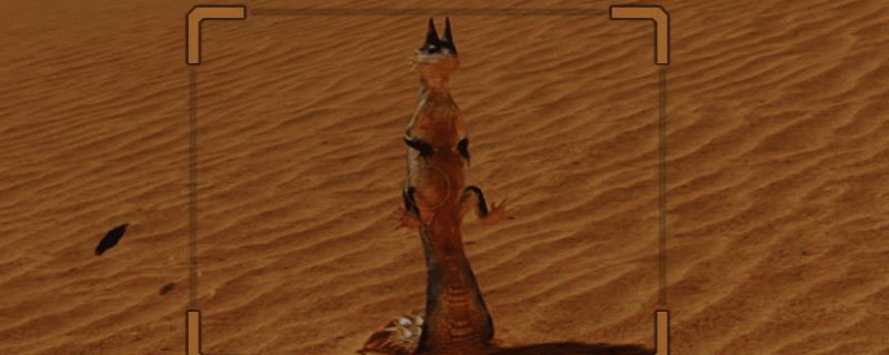 《怪物猎人：荒野》足迹蜥蜴相关场景图