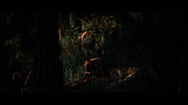 《狩猎模拟3》宣传图片3