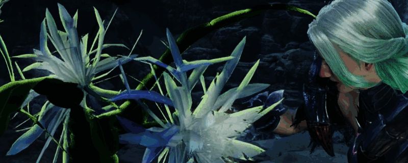 《怪物猎人：荒野》游戏画面相关图片