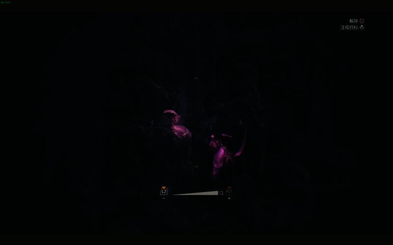 淡红萤虾相关图片2