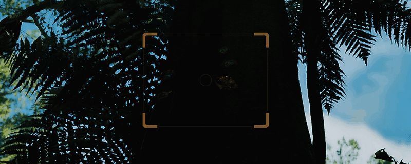 怪物猎人荒野金龟子相关图1