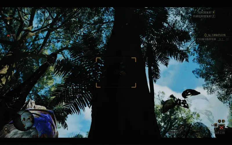 怪物猎人荒野金龟子具体位置图1