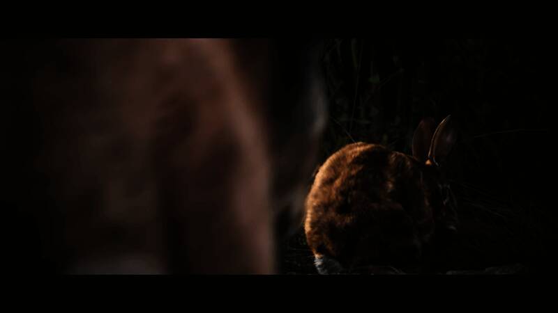 《模拟狩猎3》视频截图5