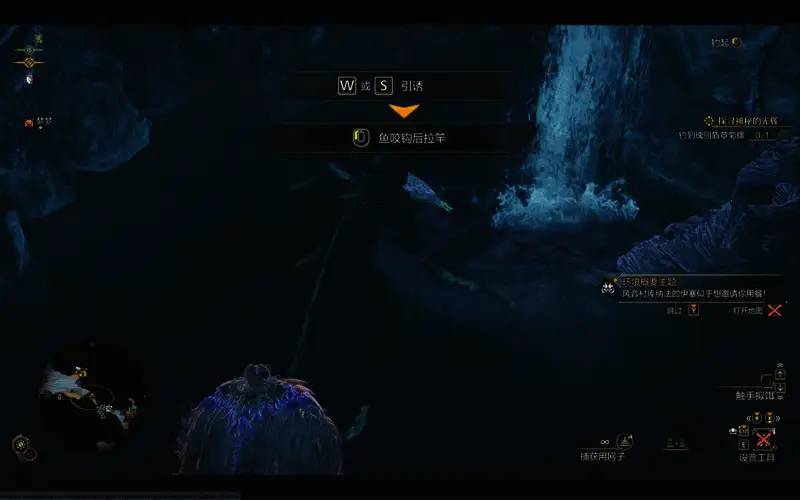 瑰丽盾章菊螺具体位置图1