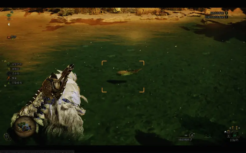 带卵弓鳍鱼具体位置图1