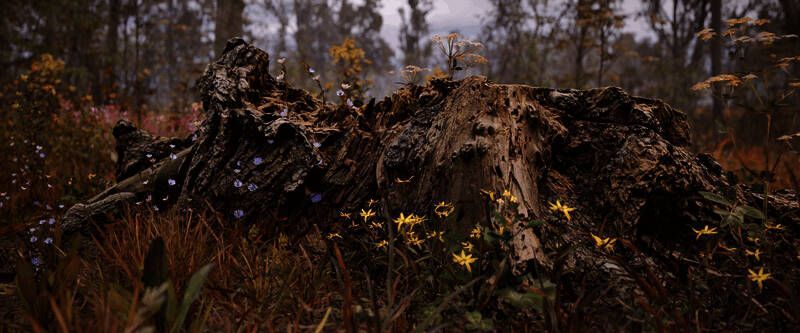 《潜行者2》游戏摄影作品11