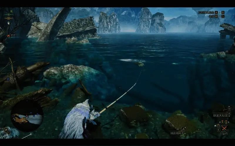 大珍鲈具体位置图1