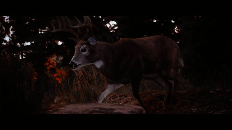 《模拟狩猎3》游戏场景截图2