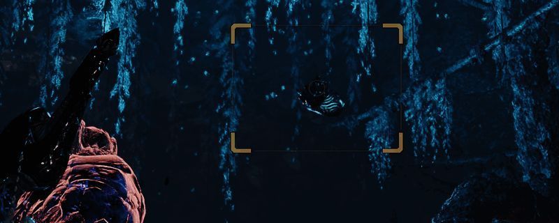 怪物猎人荒野相关场景图